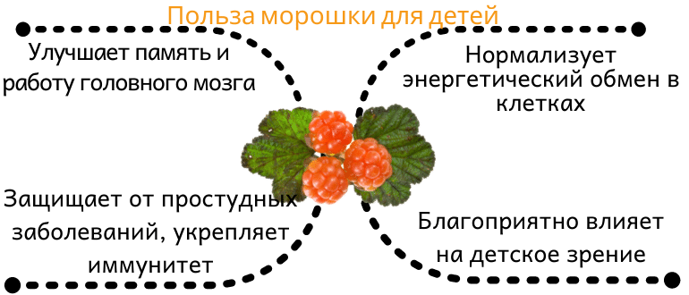 Польза морошки для детей
