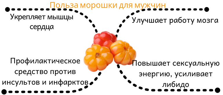 Польза морошки для мужчин