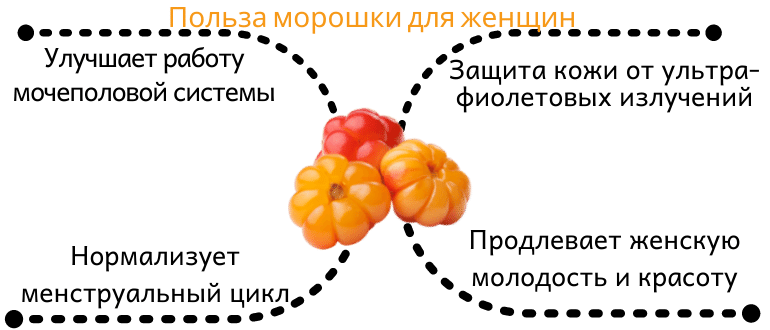 Польза морошки для женщин