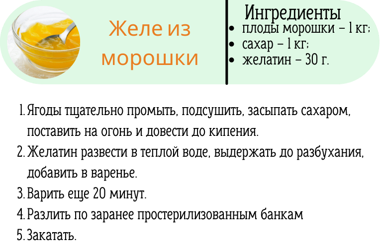 Морошковое желе